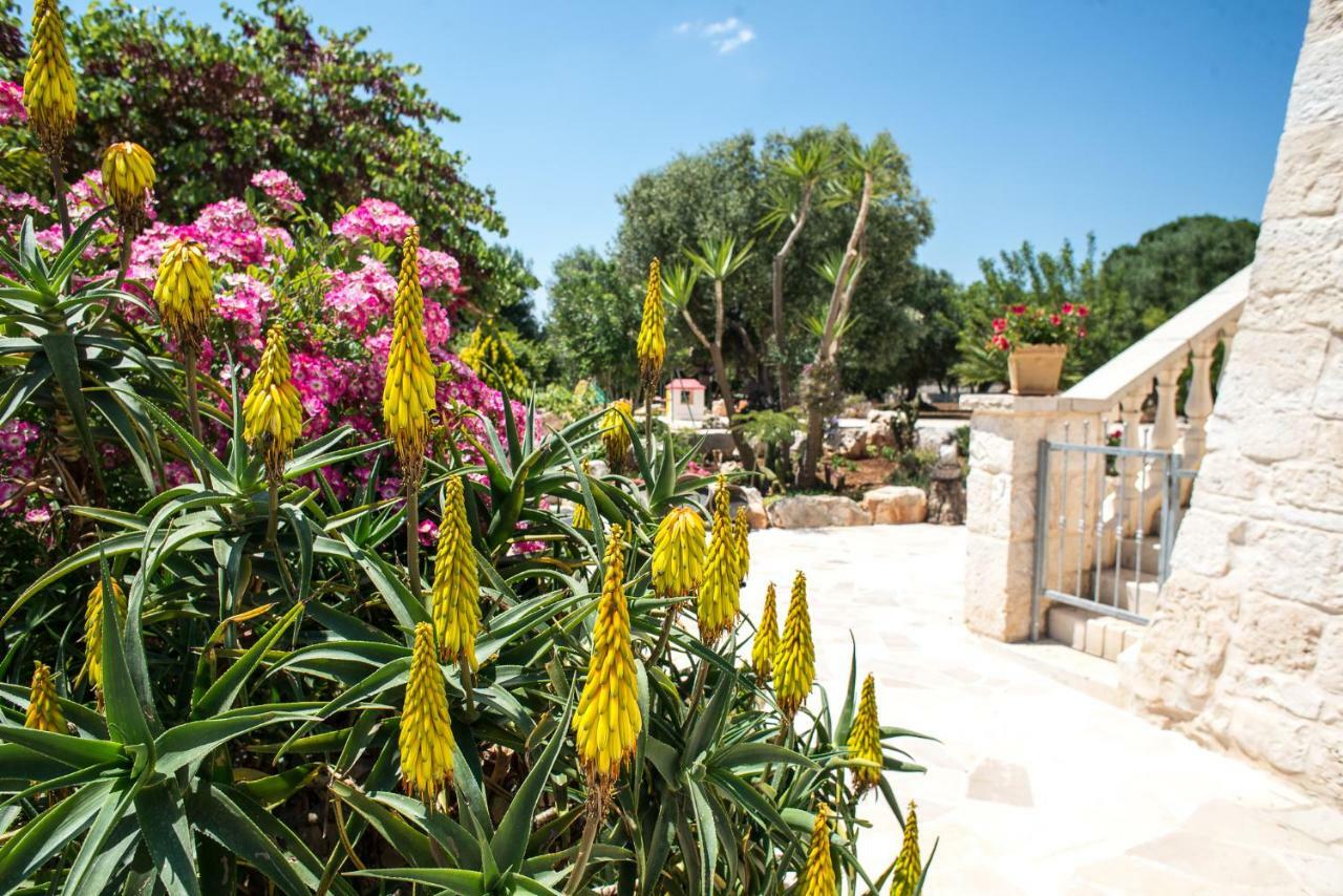 Agriturismo Grotta Di Figazzano ชิสแตร์นีโน ภายนอก รูปภาพ