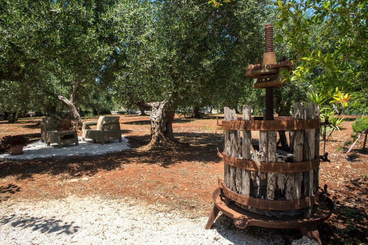 Agriturismo Grotta Di Figazzano ชิสแตร์นีโน ภายนอก รูปภาพ